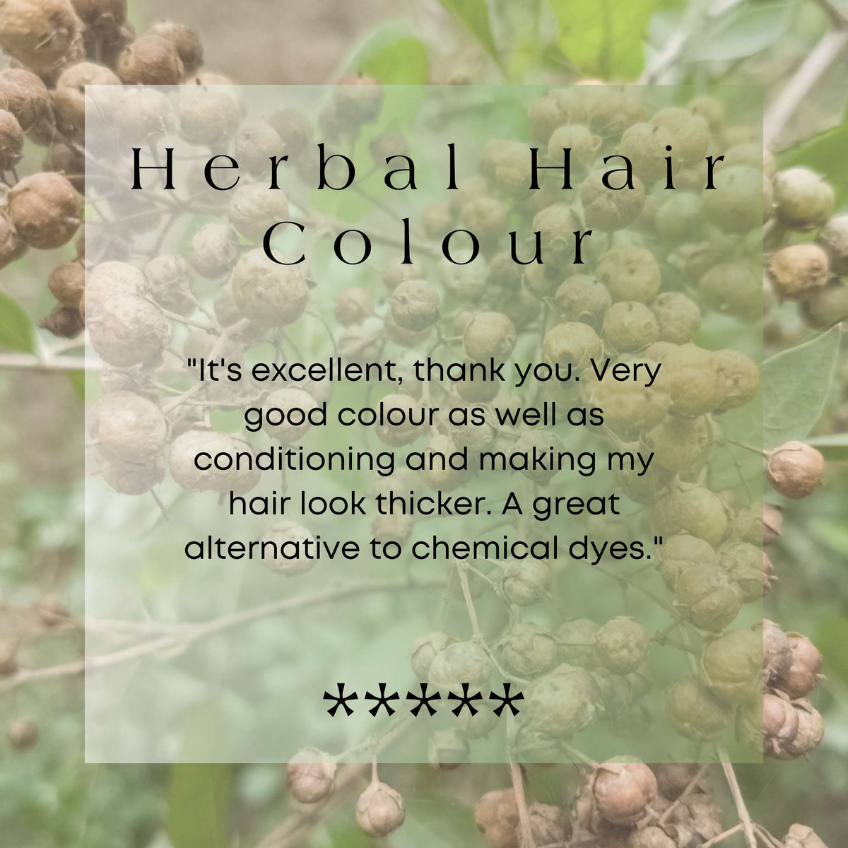 Natural Brown Hair Dye Indigo Powder Organic Hair Dye It's Pure